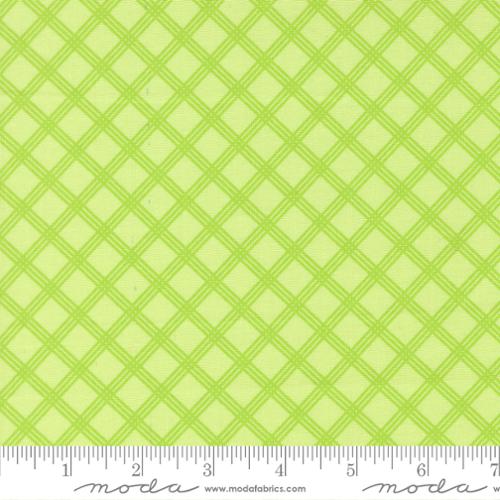 Joysome - Charming Check Checks and Plaids Honeydew - 29255 19-MO
