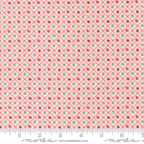Bloomsberry - Check Checks and Plaids Flower Blush - 55358 11
