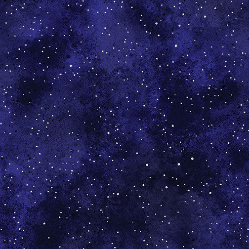 New Hue Metallic - Navy/Silver - 8673M-55