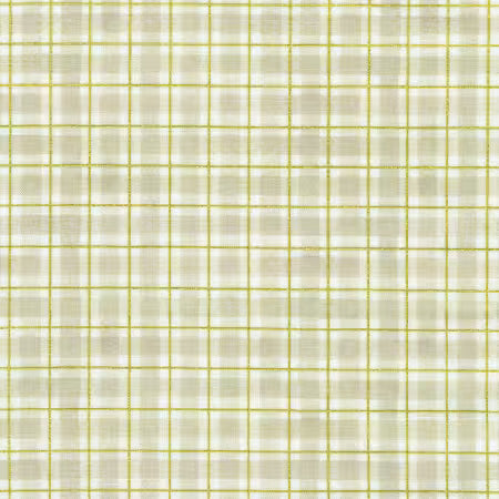 Hello Fall - Plaid Mushroom - AWHDM23920352