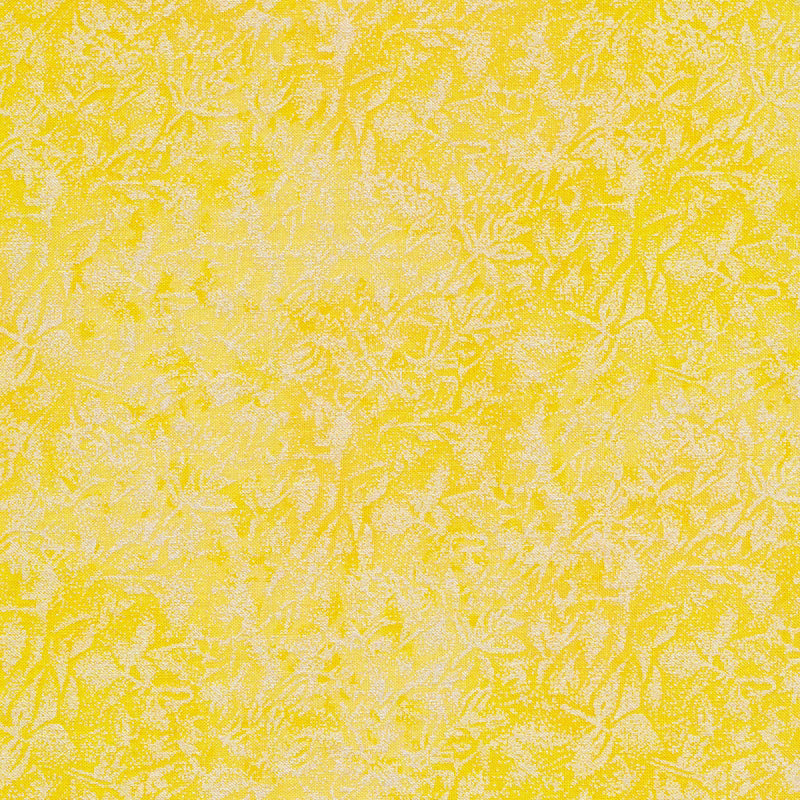 Fairy Frost - Citrus - CM0376-CITR-D-MS