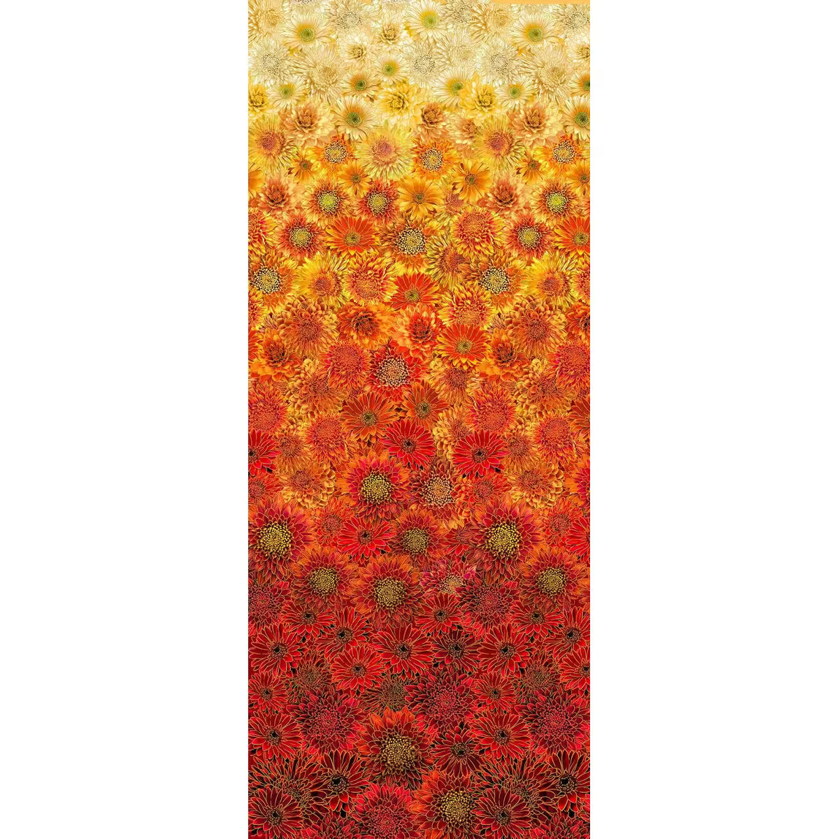 Harvest - Autumn - HARVEST-CM2102-TT