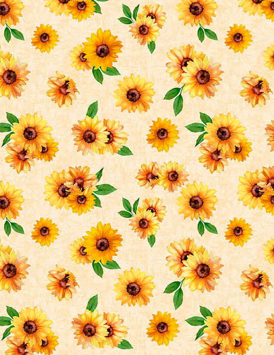 Sunshine Whispers - Sunflower Toss Cream - 3080 28655 257