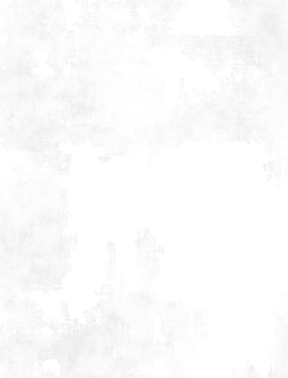 Dry Brush - White on White - 1077 89205 100 WP