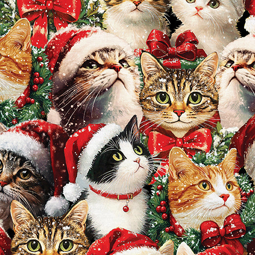 Merry Cats - Merry Cats Portraits Multi - 16773-99