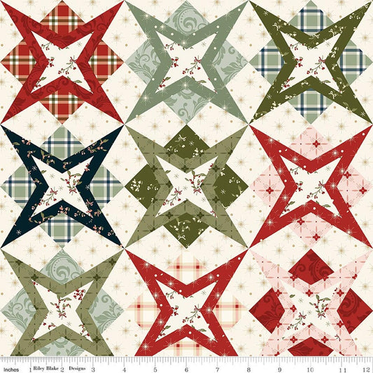 Christmas Greetings - Cheater Print Multi - C17668-MULTI