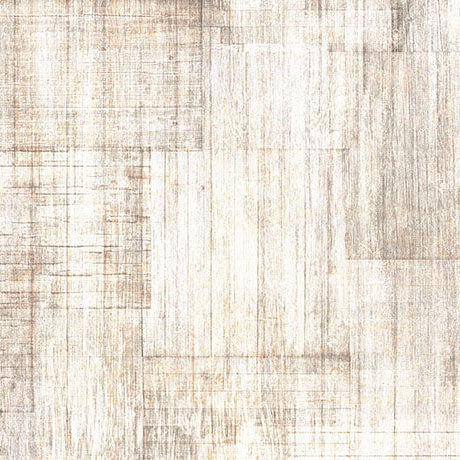 Into The Woods - Birch - Wood Texture - 2600 30840 E