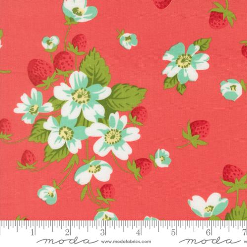 Bloomsberry - In Bloom Florals Strawberries Nantucket Red - 55350 17