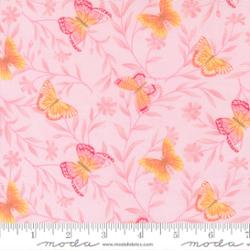 Kindness - Blush - 56151 15