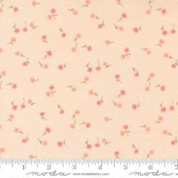 Kindness - Peach - 56154 12