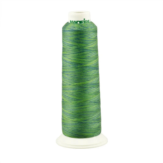 Poly 3000yd Serger Variegated Thread - Amazon