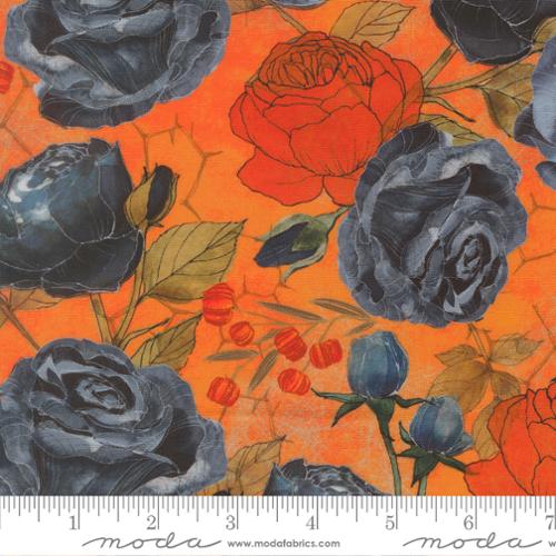 Coven - Pumpkin - 48800 12