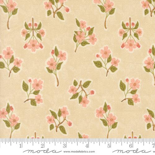 Ladybug Whimsy Metal - Apple Blossom Forals Natural - 48443 12M-MO