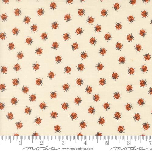 Ladybug Whimsy Metal - Little Ladybugs Novelty Eggshell - 48446 11M-MO
