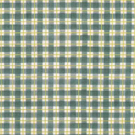 Hello Fall - Denim Plaid - AWHDM2392067