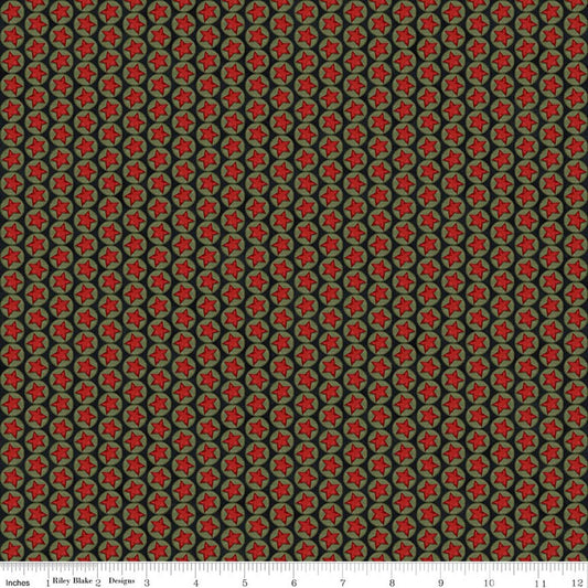 Northern Christmas - Stars Black - C17834-BLACK