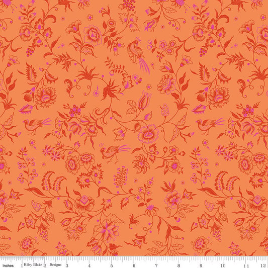Haviland Orange - Kipling Gardens - C17882