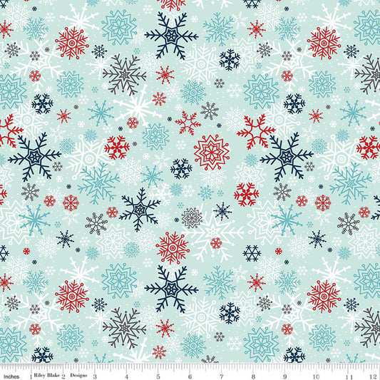 A Perfect Winter - Snowflakes Powder - C17992-POWDER