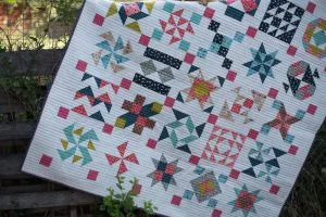 Seven Brothers Block Party Book