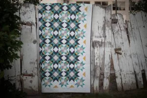 Seven Brothers Block Party Book