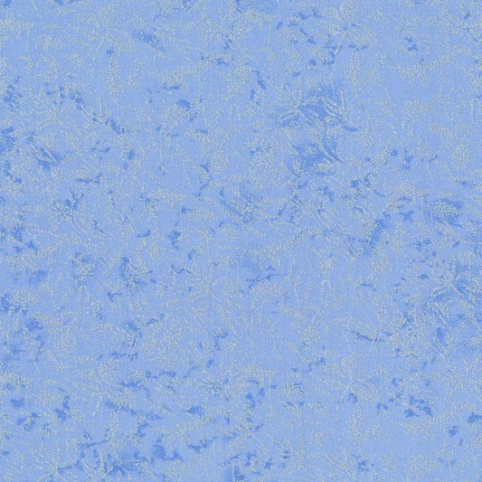 Fairy Frost - Conflower - CM0376-COFL-D