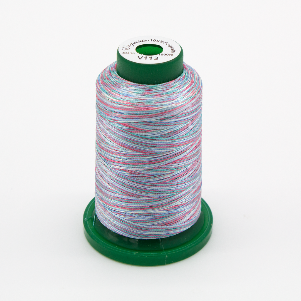 Exquisite® Variegated Thread - V113