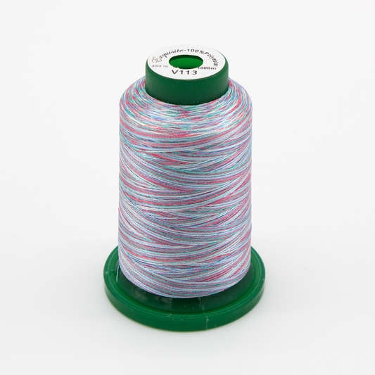 Exquisite® Variegated Thread - V113