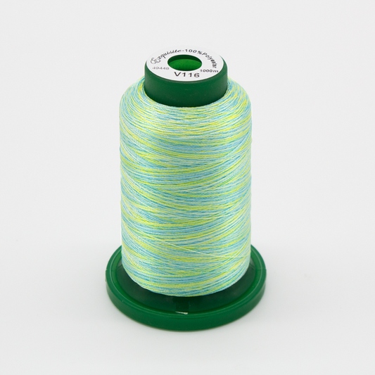 Exquisite® Variegated Thread - V116 Fresh
