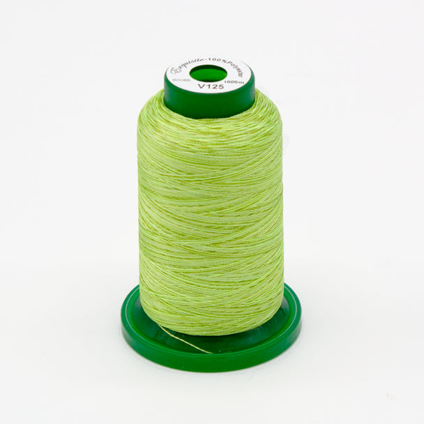 Exquisite® Variegated Thread - V125 Meadow