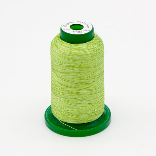 Exquisite® Variegated Thread - V125 Meadow