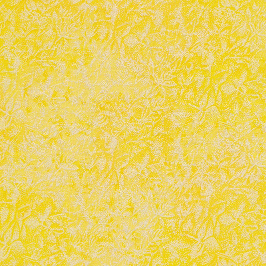 Fairy Frost - Citrus - CM0376-CITR-D-MS